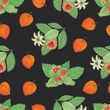 Vector hand drawn seamless pattern with a plant ashwagandha  clipart