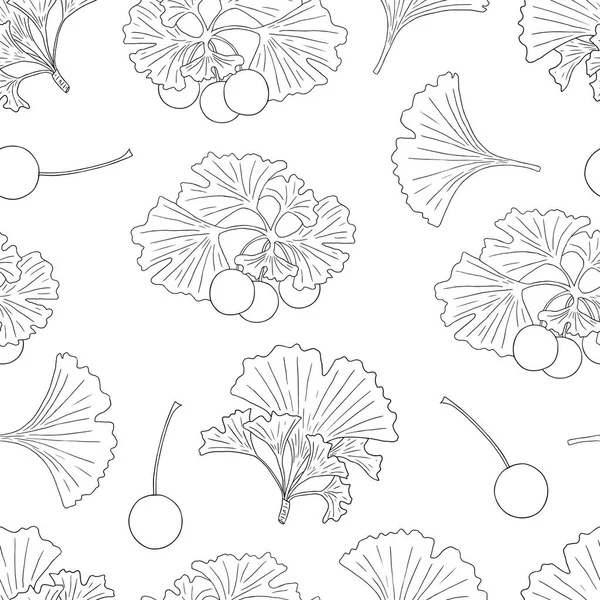 Ginkgo biloba-05