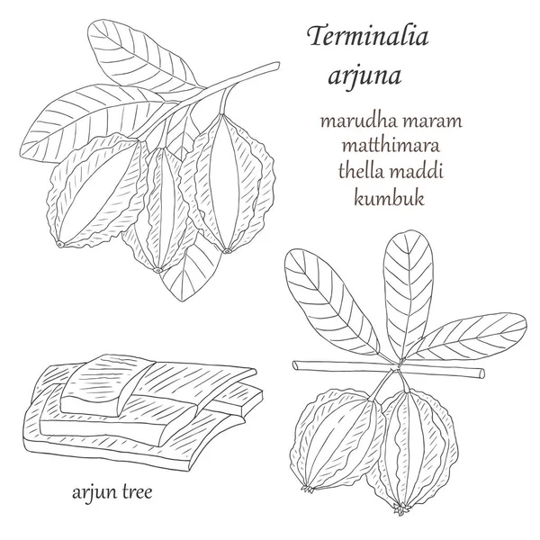 ardjuna i kasia-01