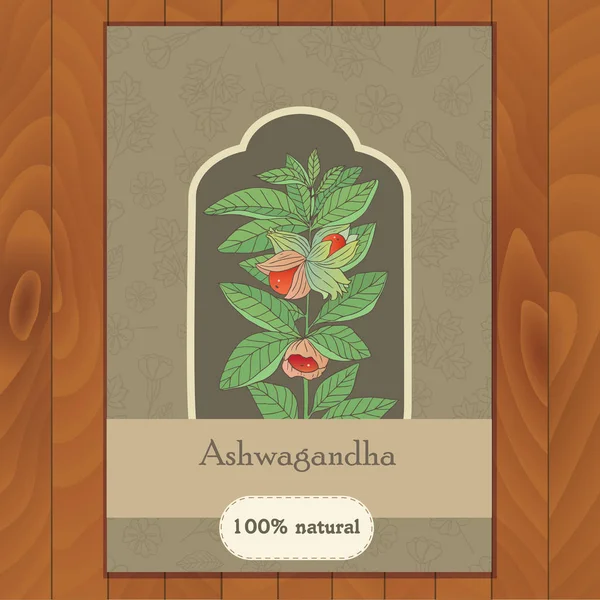 ashwagandha bitkisi-05