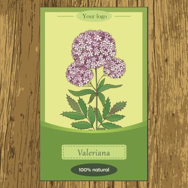 Solodka i valeriana-04