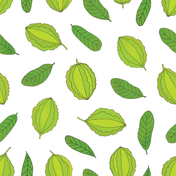 Vector hand drawn seamless pattern of a medicinal plant Terminalia arjuna — 스톡 벡터