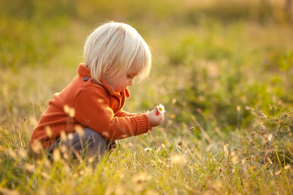 Criança loira brinca com flores em um parque — Fotografia de Stock