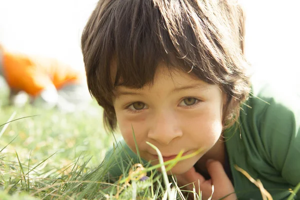 Smilende dreng knægt ligger udendørs i græsset - Stock-foto