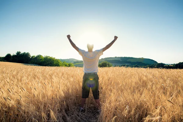 Campo de trigo dourado em com homem feliz livre um dia ensolarado — Fotografia de Stock