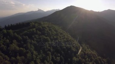 ahşap orman dağ yaz güneşli gün batımı veya gündoğumu şafak veya alacakaranlıkta yol 4k hava drone ile geri uçuş geniş doğa atış kurulması