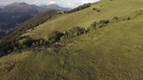 Biker trail ride mountainbike nära trä skog valley i sommar solig dag, annalkande solnedgång eller soluppgång gryning eller skymning 4k antenn drönare ovan flyg bred upprätta skott — Stockvideo