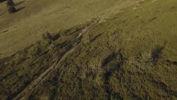 Biker trail ritje op offroad pad met de mountainbike in de buurt van hout forest valley in zonnige zomerdag, naderende zonsondergang of zonsopgang, zonsopgang of zonsondergang 4k luchtfoto drone Volg vlucht breed schot — Stockvideo