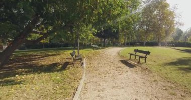 Ağaçların altında geçit Kentsel şehir Park tarafından yeşil çim yaz güneşli bir günde yürürken. 4k ileri Pov shot