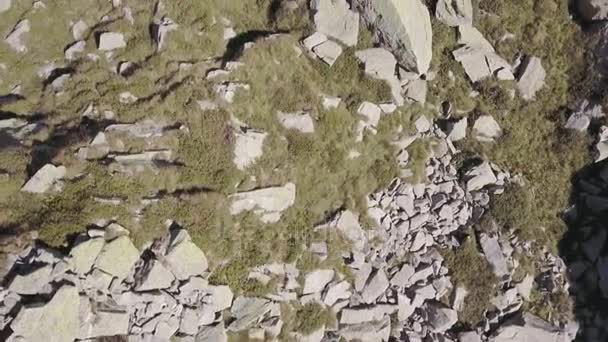 Italia Alpi montagne aerea sopra scogliera rocciosa in estate giornata di sole. 4k drone volo aereo largo stabilire colpo — Video Stock