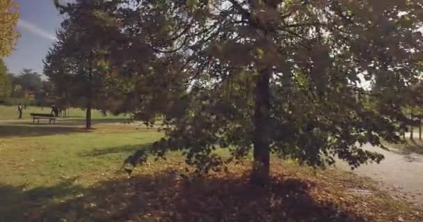 Promenader under träden på gångbanan i urban stadspark av grön gräsmatta på en solig sommardag. solen skiner. 4 k Pov sida skott — Stockvideo