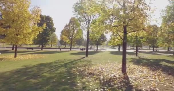 Caminar bajo los árboles en la pasarela en el parque urbano de la ciudad por el césped verde en un día soleado de verano. el sol brilla. 4k POV tiro lateral — Vídeo de stock