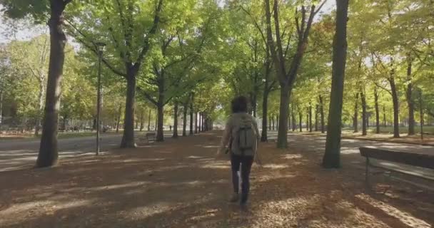Giovane donna che cammina sotto gli alberi sulla passerella e prato con foglie nel parco urbano in una giornata di sole estivo. 4k seguire colpo in avanti — Video Stock