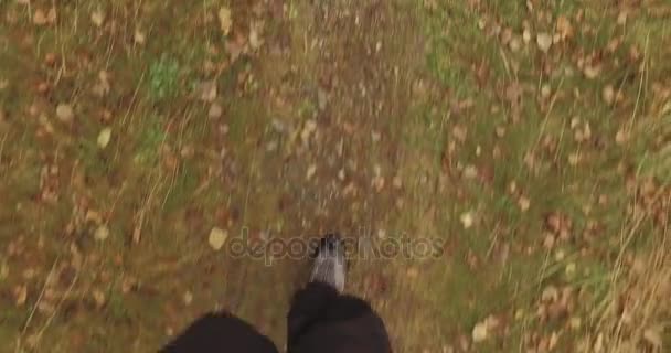 Man går utomhus i skogen skogen med dåligt väder mulen dag. 4 k Pov overhead på fotspår sköt — Stockvideo