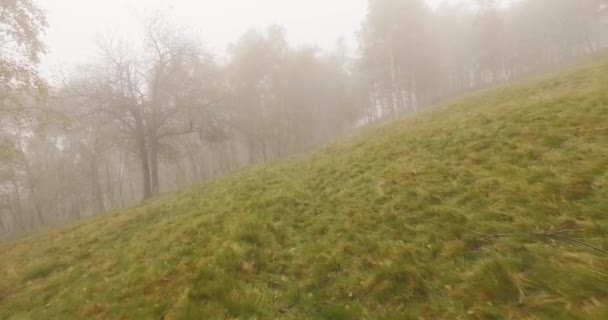 Pěší venkovní skrz stromy v lese lesa s špatné počasí mlha zataženo den. 4k Pov vpřed příroda zastřelil — Stock video