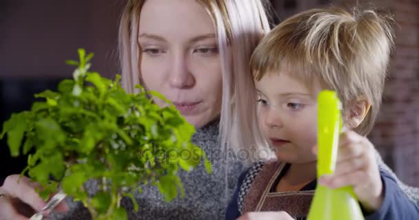 Famiglia moderna bambina con mamma innaffiare bonsai indoor in casa industriale moderna. caucasico. 4k palmare rallentatore dettaglio video girato — Video Stock