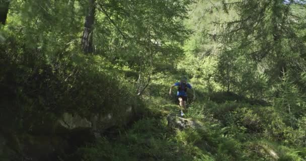 山間の村、森の中で実行されている白人のトレイル ランナー。4 k ジンバル ワイド フロント ビデオ撮影 — ストック動画