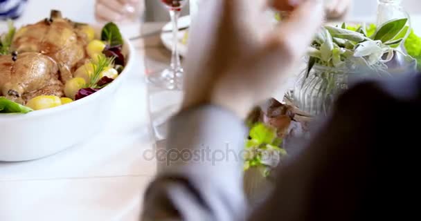 Vänner njuter av att ha lunch tillsammans — Stockvideo