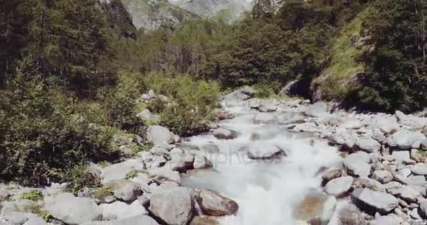 Alpes italianos río de montaña arroyo — Vídeos de Stock