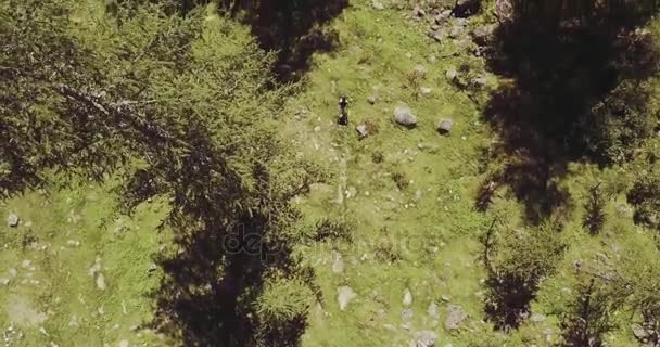 Corredor de trilha correndo para a montanha através de bosques de pinho — Vídeo de Stock