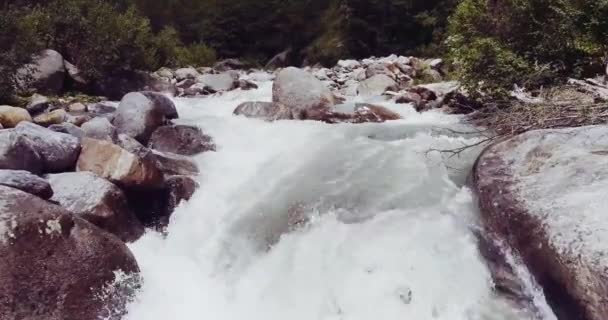 意大利阿尔卑斯山河流小溪 — 图库视频影像