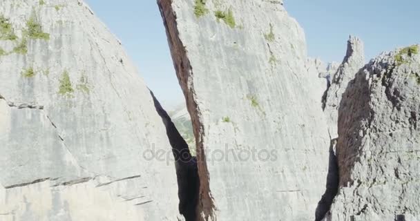 Sommet de montagne avec des pins et des rochers dans la journée ensoleillée — Video