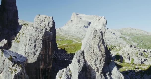 Cima de la montaña con pinos y rocas en un día soleado — Vídeo de stock