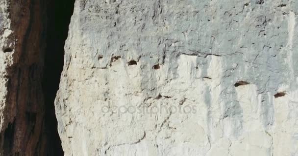 Topo da montanha com pinheiros e rochas em dia ensolarado — Vídeo de Stock
