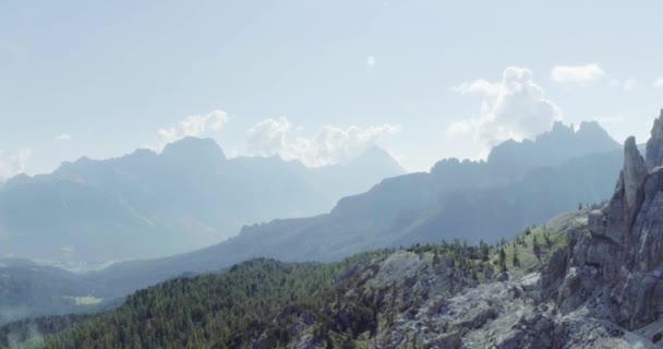 Mountain top with pines and rocks in sunny day — Stock Video