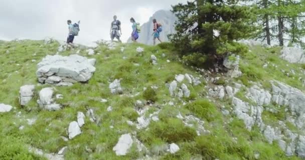 晴れた日の道のパスに沿ってハイキングの人々 — ストック動画