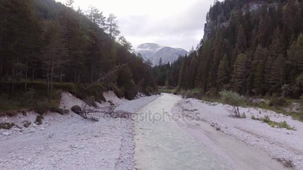 Ruisseau de rivière avec des bois et des rochers dans une journée ensoleillée — Video
