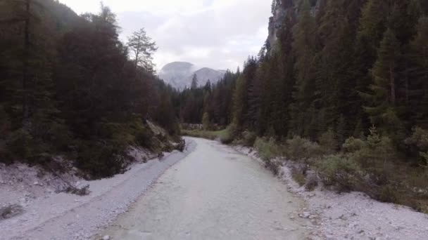 Bach mit Wäldern und Felsen an sonnigen Tagen — Stockvideo