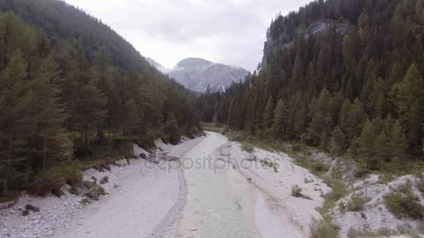 River creek med skog och klippor i soliga dag — Stockvideo