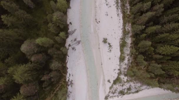 Rivier creek met bossen en rotsen — Stockvideo