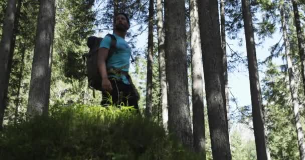 Fotograaf schieten foto's met de vriend van de mens in zonnig bos — Stockvideo