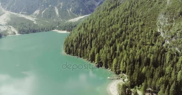 Lago con nubes y bosque — Vídeo de stock