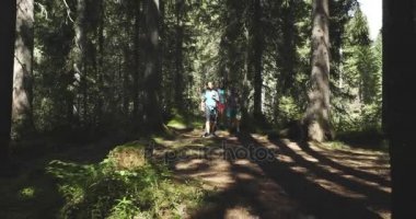 dört kişi güneşli orman üzerinde yürüme yolu iz