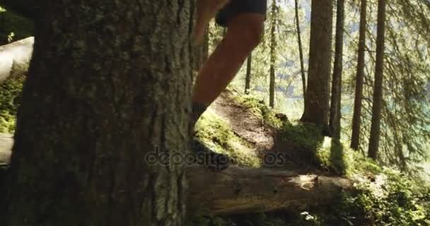 Homem pernas saltando um log perto ensolarado floresta bosques caminho — Vídeo de Stock