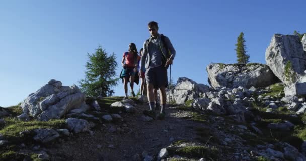Vier vrienden wandelen langs hiking trail pad — Stockvideo