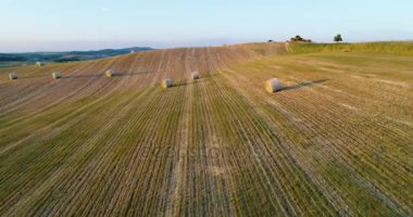 yeşil buğday kırsal alanlar 