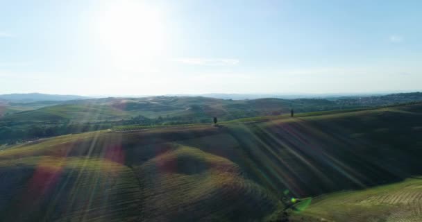 Campi rurali di grano verde — Video Stock