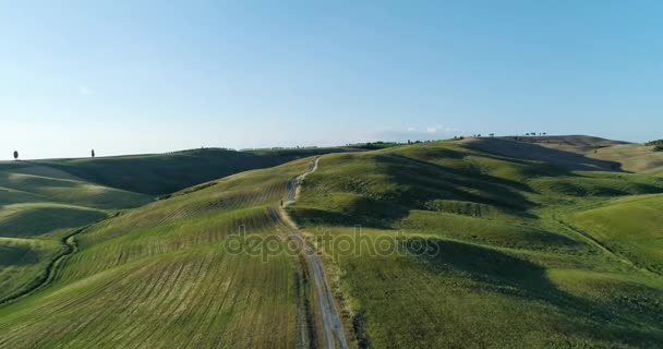 Campos rurais de trigo verde — Vídeo de Stock