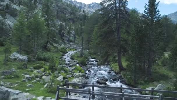 Andare avanti sul ponte lungo il fiume — Video Stock