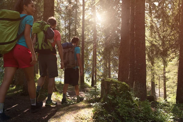 Drei Männer und eine Frau gehen bei sonnigem Wetter auf dem Wanderweg im Waldgebiet spazieren. Gruppe von Freunden Menschen Sommer Abenteuerreise in den Bergen Natur im Freien. Reisen in die Alpen, Dolomiten — Stockfoto
