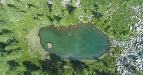 オーバーヘッド近づいて青い湖をオフし、晴れた夏の日の森の中の松林します。ヨーロッパ イタリア アルプス屋外の緑の自然景観山野生の空中 establisher.4k 無人飛行エスタブリッシング ・ ショット — ストック動画