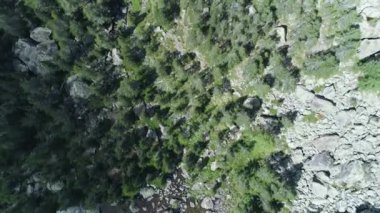 ek yükü çam ormanlar orman ve göl üzerinde yaz aylarında hareket. Avrupa İtalya Alps açık yeşil doğa scape dağlar yabani hava establisher.4k drone uçuş atış kurulması