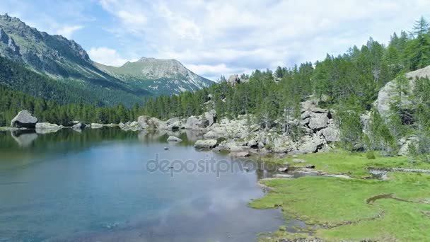 Moviéndose lado de claro lago azul y bosques de pinos bosque valle de montaña en verano.Europa Alpes naturaleza verde al aire libre paisaje montañas salvaje aéreo establecimiento.4k drone vuelo estableciendo disparo — Vídeo de stock