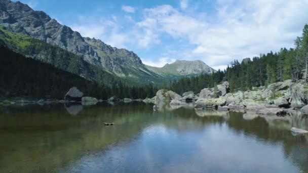 Moving forward to clear blue lake and pine woods forest mountain valley in summer.Europe Alps outdoor green nature scape mountains wild aerial establisher.4k drone flight establishing shot — Stock Video