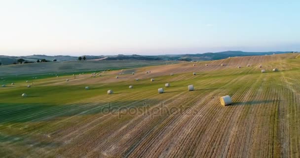 Do tyłu widok z lotu ptaka wzgórza wiejskich pól pszenicy zielony z bele siana. Natura na zewnątrz podróży przeznaczenia Toskania, Włochy. Słoneczne lato letni lub wiosną. 4 k drone wideo strzał — Wideo stockowe