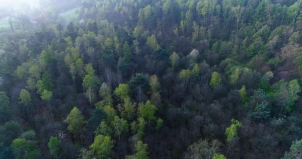 se déplaçant côté sur la forêt au coucher du soleil ou au lever du soleil jour d'été avec la fusée éclairante du soleil.Europe Italie extérieur vert nature paysage sauvage aérienne Establisher.4k vol de drone au-dessus des bois établissant shot 